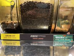 -星巴克臻选(上海今潮8弄店)