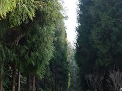 -太阳湾风景区