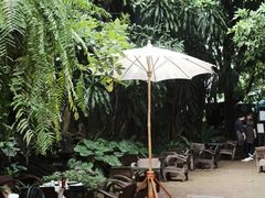 -Fern Forest Cafe