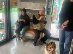 -爱侣宠医·鹦鹉专科·小型哺乳类·异宠专科(灵石路店)