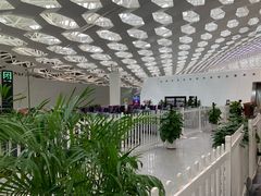 -陈鹏鹏潮汕菜(宝安机场T3航站楼店)