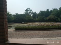 -南开大学滨海学院