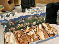 当季野生菌四拼-芸山季·云南山珍菌火锅(南翔印象城MEGA店)