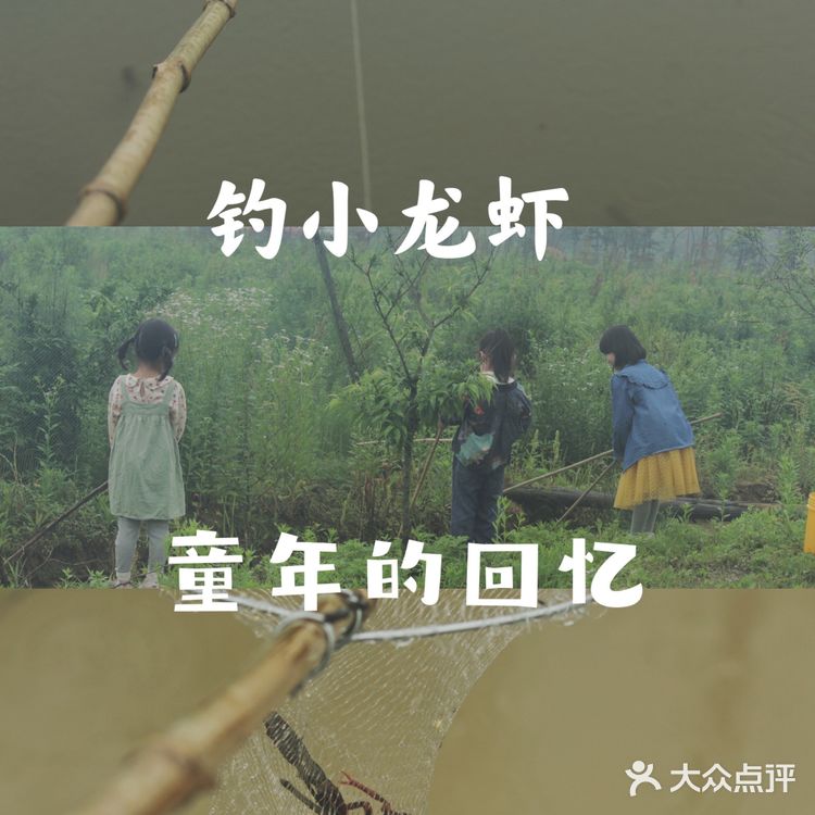 武汉果乐小镇钓小龙虾,有和我一样的童年吗?