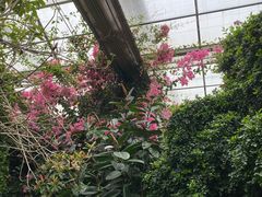 -呀路古热带植物园