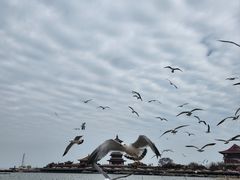 -八仙过海景区