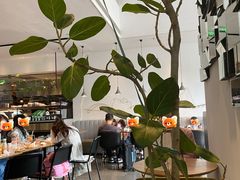 -gaga(深圳南山益田假日广场店)