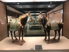 -西安大唐西市博物馆