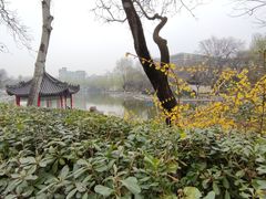 -莲湖公园