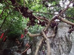 -杭州西湖风景名胜区-三生石