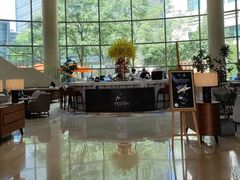 -Plush大堂酒廊(北京金融街威斯汀大酒店)
