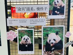 -龙湖重庆时代天街