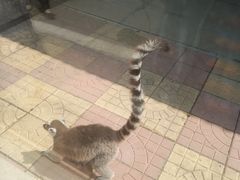 -石家庄市动物园