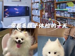 -泰洋动物医院·神经专科·磁共振·CT(天河公园总院)