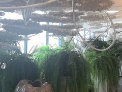 -哈尔滨圣安口腔专科医院