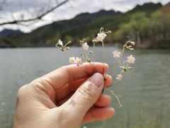 -玉渡山自然风景区
