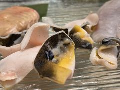 -孔庆璞河豚馆(白玉兰酒店)