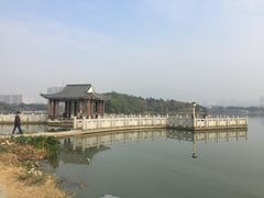 -飞来湖湿地公园