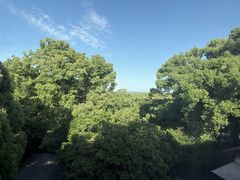-普陀山雷迪森庄园