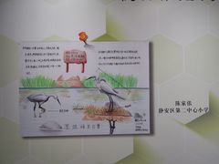 -上海大自然野生昆虫馆(东方明珠·爬宠昆虫探索中心)