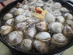 -顺德哥卜卜贝(旗舰店)