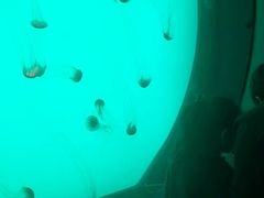 -沈阳海洋探索中心