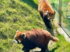 -水上乐园·欢乐世界