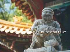-兴教寺
