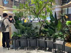 -潮牛壹号鲜牛肉火锅(光谷天地店)