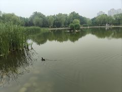 -太阳宫公园