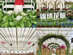-盈香心动乐园