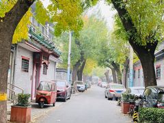 -玫瑰红烤羊排(北新桥三条店)