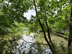 -白马涧龙池景区