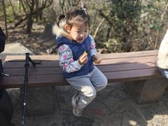 -紫金山山顶公园