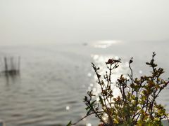 -洞里萨湖