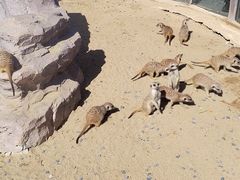 -茅山东方盐湖城景区