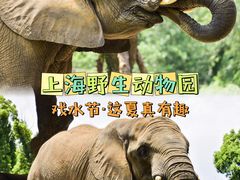-上海野生动物园