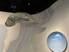 -中国湿地博物馆