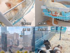 -怪兽屋·羊驼·猫咖·狗咖(俊华广场店)