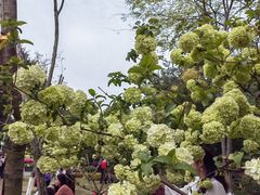 -重庆平顶山公园