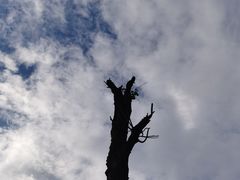 -悠然山高山湿地景区悠然自得庭