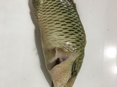 -海盗餐厅