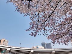 -南浦大桥长途旅游客运站