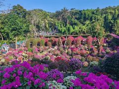 -三亚蜈支洲岛旅游区
