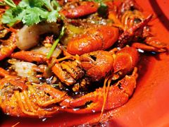 小龙虾-红辣椒·川菜·火锅(科华路店)