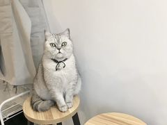-Oasis绿洲银饰珍珠手作diy(壹方城店)