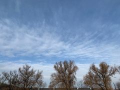 -沈阳森林动物园