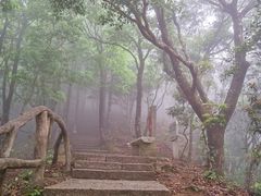 -梧桐山风景名胜区