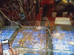 -餐海·海鲜自助餐厅(宝龙广场店)
