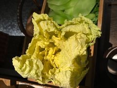 娃娃菜-盡膳口福跷脚牛肉火锅(合生汇购物中心店)